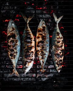 fish being grilled